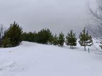 Купить участок 5.0 соток , фотография 8