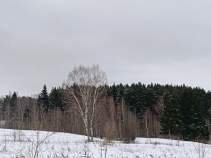 Купить участок 5.0 соток , фотография 9