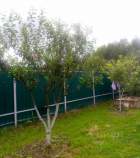 Купить участок 6.4 соток , фотография 5