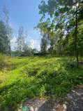 Покупка участок 8.5 соток , фотография 3