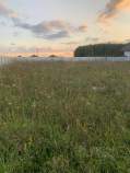Покупка участок 8.0 соток , фотография 3