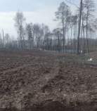 Куплю участок 9.6 соток , фотография 4