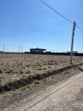 Продать участок 6.0 соток , фотография 2