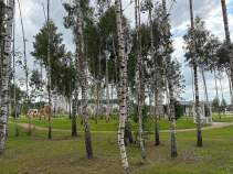 Покупка участок 8.9 соток , фотография 3