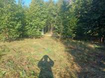Купить участок 10.0 соток , фотография 6