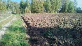 Продать участок 11.8 соток , фотография 2