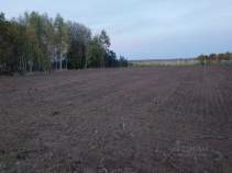 Покупка участок 11.8 соток , фотография 3