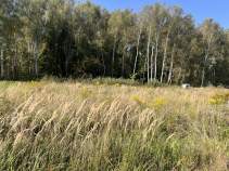 Куплю участок 8.1 соток , фотография обложки