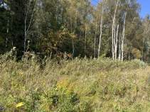 Покупка участок 8.1 соток , фотография 3