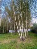 Цена на участок 10.0 соток , фотография 1