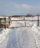 Покупка участок 3.3 соток , фотография 3