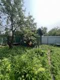 Куплю участок 8.0 соток , фотография 4
