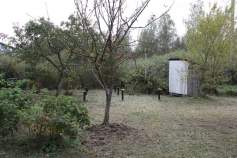 Куплю участок 12.0 соток , фотография 4