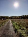 Куплю участок 6.0 соток , фотография 4