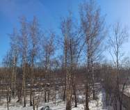 Купить 2-комнатную квартиру , фотография 6