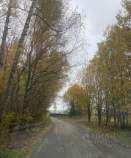 Куплю участок 6.0 соток , фотография 4