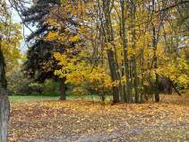 Купить участок 6.0 соток , фотография 5