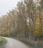 Купить участок 6.0 соток , фотография 6