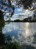 Купить участок 6.0 соток , фотография 9