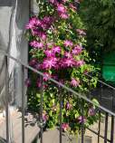 Купить участок 6.0 соток , фотография 5
