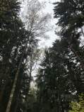Купить участок 20.0 соток , фотография 5