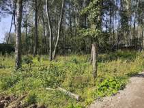 Купить участок 8.6 соток , фотография 6