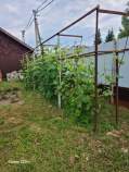 Купить участок 10.0 соток , фотография 7