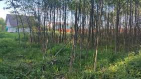 Куплю участок 9.5 соток , фотография обложки