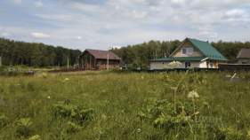 Куплю участок 12.0 соток , фотография 4