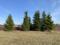 Продать участок 10.8 соток Московская область, Серпухов городской округ, Гринвилл кп, 24 Продать участок 10.8 соток , фотография 2