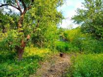 Купить участок 8.0 соток Московская область, Домодедово, Московская область, городской округ Домодедово, Гальчино, 4-я линия Купить участок 8.0 соток , фотография 5