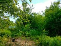 Купить участок 8.0 соток Московская область, Домодедово, Московская область, городской округ Домодедово, Гальчино, 4-я линия Купить участок 8.0 соток , фотография 6