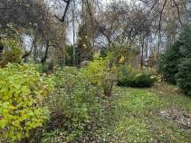 Продать участок 17.0 соток Московская область, Домодедово, 31а, Zhiroshkino, Moskovskaya oblast', Russia, 142040 Продать участок 17.0 соток , фотография 2