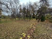 Продается участок 17.0 соток Московская область, Домодедово, 31а, Zhiroshkino, Moskovskaya oblast', Russia, 142040 Куплю участок 17.0 соток , фотография 4