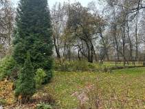 Купить участок 17.0 соток Московская область, Домодедово, 31а, Zhiroshkino, Moskovskaya oblast', Russia, 142040 Купить участок 17.0 соток , фотография 5