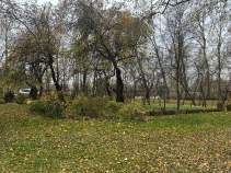 Купить участок 17.0 соток Московская область, Домодедово, 31а, Zhiroshkino, Moskovskaya oblast', Russia, 142040 Купить участок 17.0 соток , фотография 6