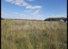 Продажа недвижимости Московская область, Чехов муниципальный округ, д. Алферово,  Цена на участок 14.0 соток , фотография 1