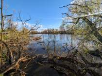 Фотография Участок в Московская область, Домодедово городской округ, д. Ртищево  (23.0 сот.),  Куплю участок 23.0 соток , фотография обложки