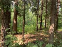 Цена на участок 19.5 соток , фотография 1