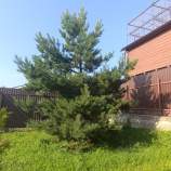 Продажа недвижимости Московская область, Чехов муниципальный округ, д. Прохорово, Яр СХ2 тер., 4 Цена на дом на участке  соток , фотография 1