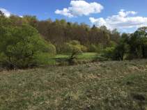 Продать участок 15.0 соток Московская область, Серпухов городской округ, д. Ивантиново, Продать участок 15.0 соток , фотография 2