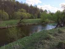 Купить участок 15.0 соток Московская область, Серпухов городской округ, д. Ивантиново, Покупка участок 15.0 соток , фотография 3