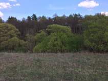 Продается участок 15.0 соток Московская область, Серпухов городской округ, д. Ивантиново, Куплю участок 15.0 соток , фотография 4