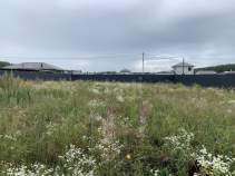 Покупка участок 7.0 соток , фотография 3