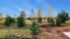 Продается участок 6.4 соток Московская область, Чехов муниципальный округ, Покров парк кп, Куплю участок 6.4 соток , фотография 4