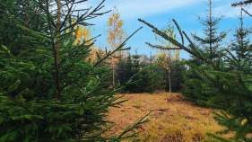 Купить участок 6.4 соток Московская область, Чехов муниципальный округ, Покров парк кп, Купить участок 6.4 соток , фотография 6