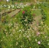 Куплю участок 317.0 соток , фотография обложки