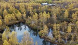 Цена на участок 9.5 соток , фотография 1