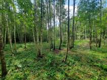 Куплю участок 8.0 соток , фотография обложки