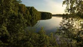 Продать участок 8.0 соток , фотография 2